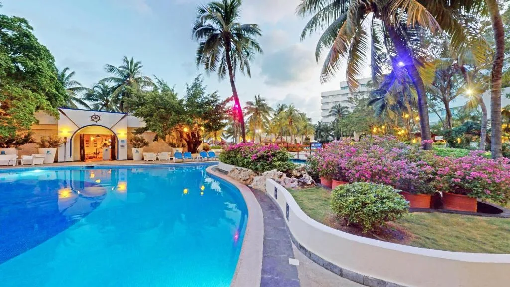 Oasis Palm: another view