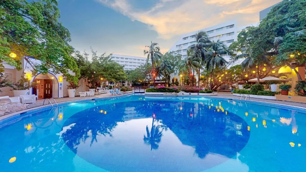Oasis Palm: another view