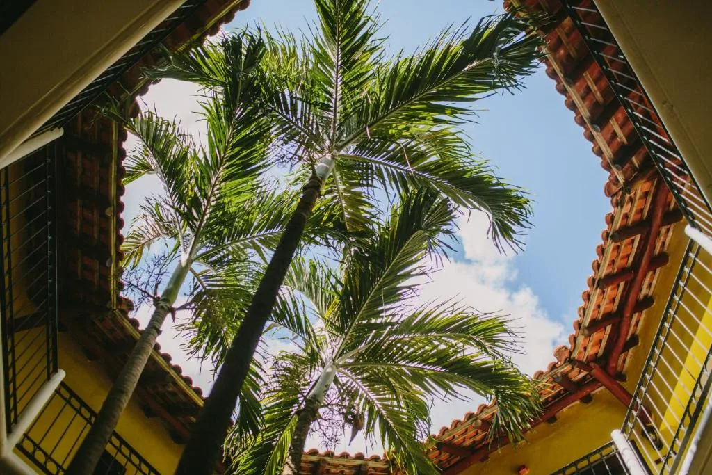 Occidental Cozumel: another view