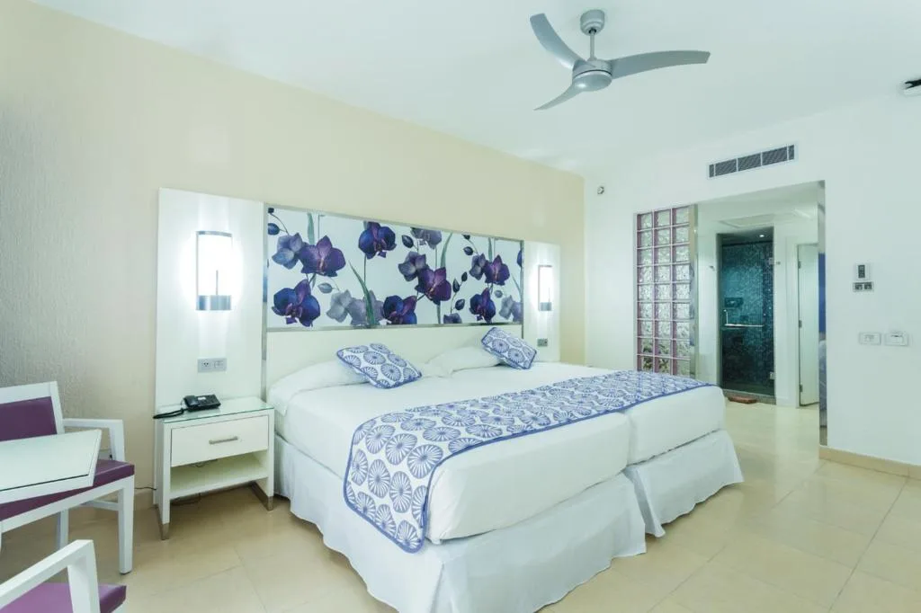 Riu Playacar: another view