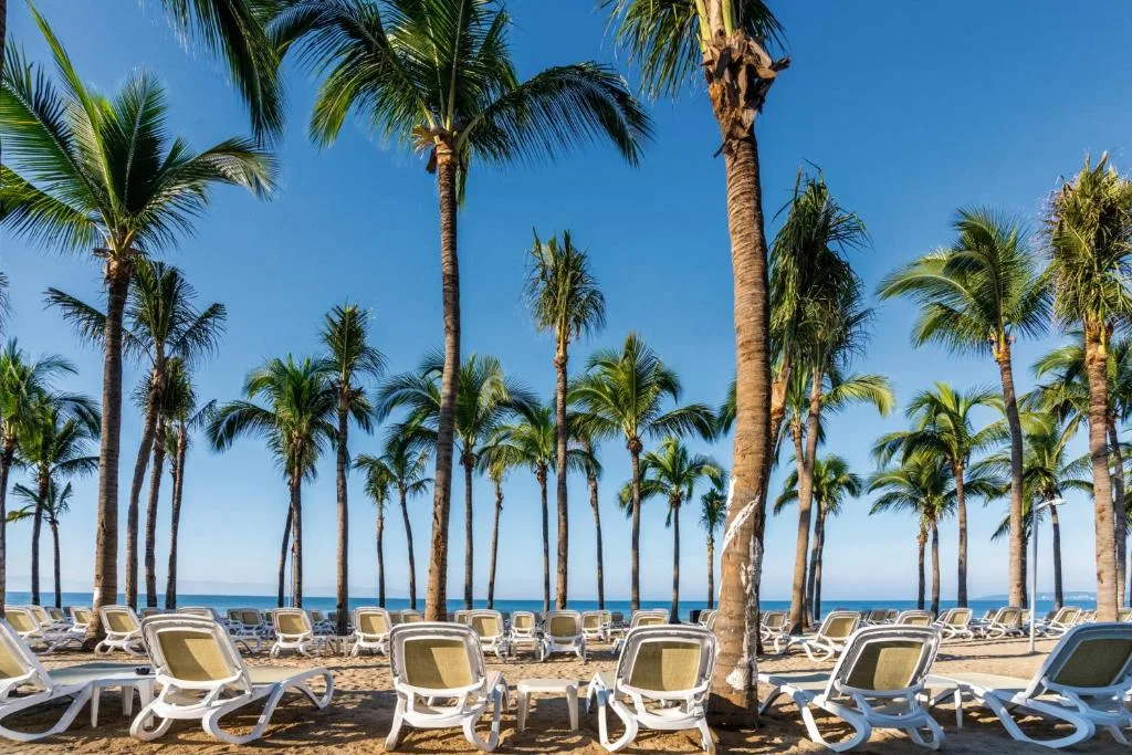 Hotel Riu Vallarta: another view